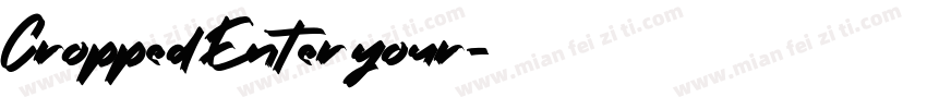 Cropped Enter your字体转换